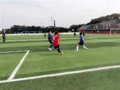 足球夜战:渝州灰熊队淘汰对手齐鲁貔貅队,临门一脚致胜韧性比赛的样板 足球夜战:渝州灰熊队淘汰对手齐鲁貔貅队,临门一脚致胜韧性比赛的样板