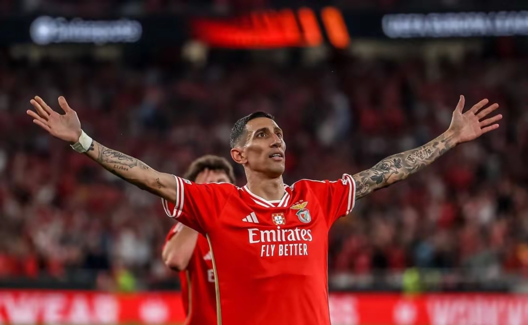 本菲卡窗口期再遭质疑,志在NBA季后赛名次提升,质疑声仍在,球队文化再被提及的简单介绍 本菲卡窗口期再遭质疑,志在NBA季后赛名次提升,质疑声仍在,球队文化再被提及的简单介绍